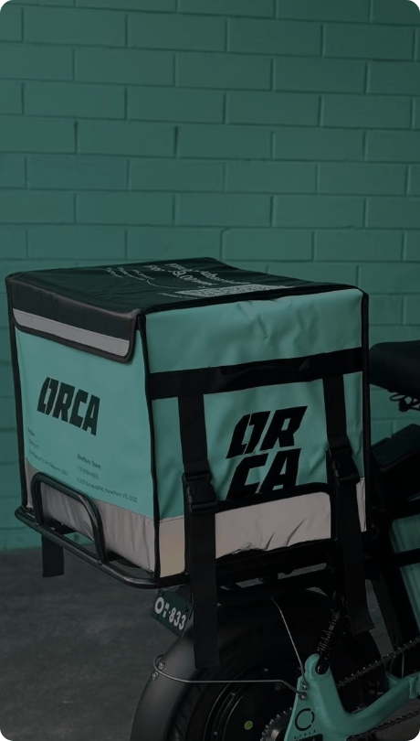 Delivery Bag